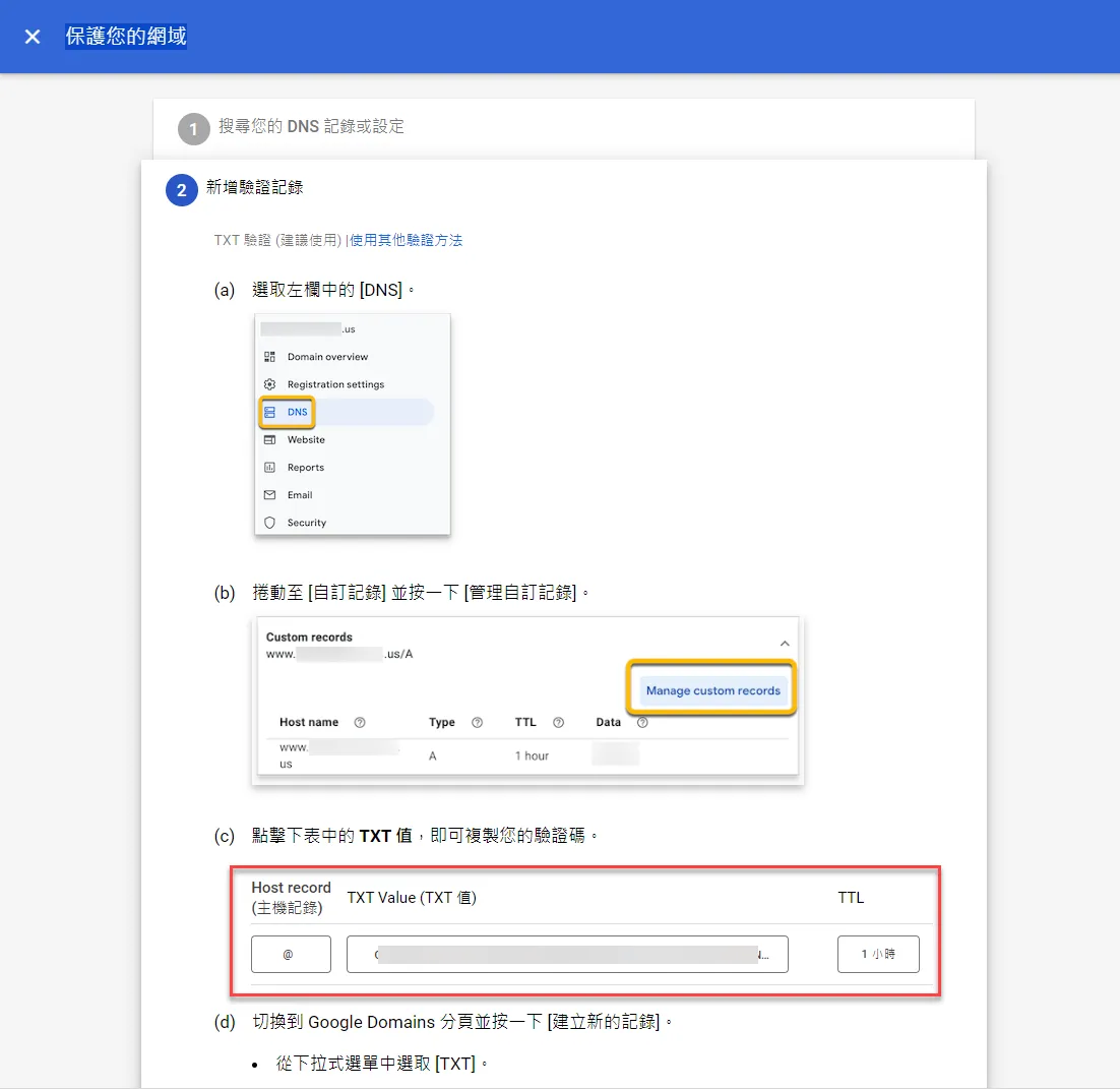 TXT 記錄複製頁面