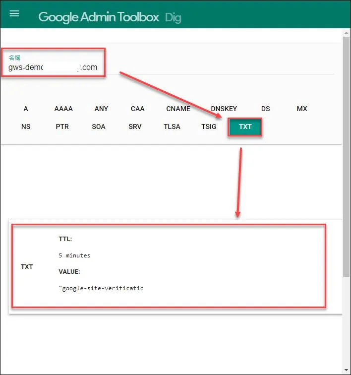 Checking DNS record with Google Dig tool