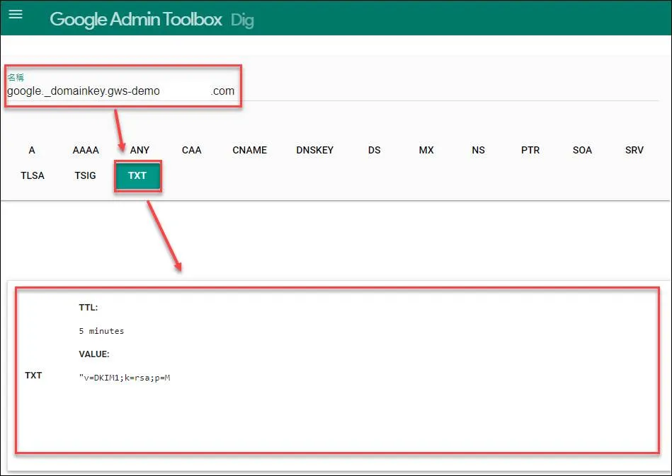 Verifying DKIM record with Google Dig tool