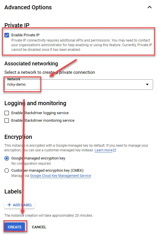 Enabling Private IP for Data Fusion