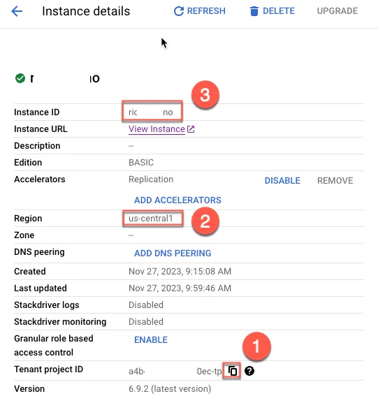 Copying Project ID, Region, and Instance ID
